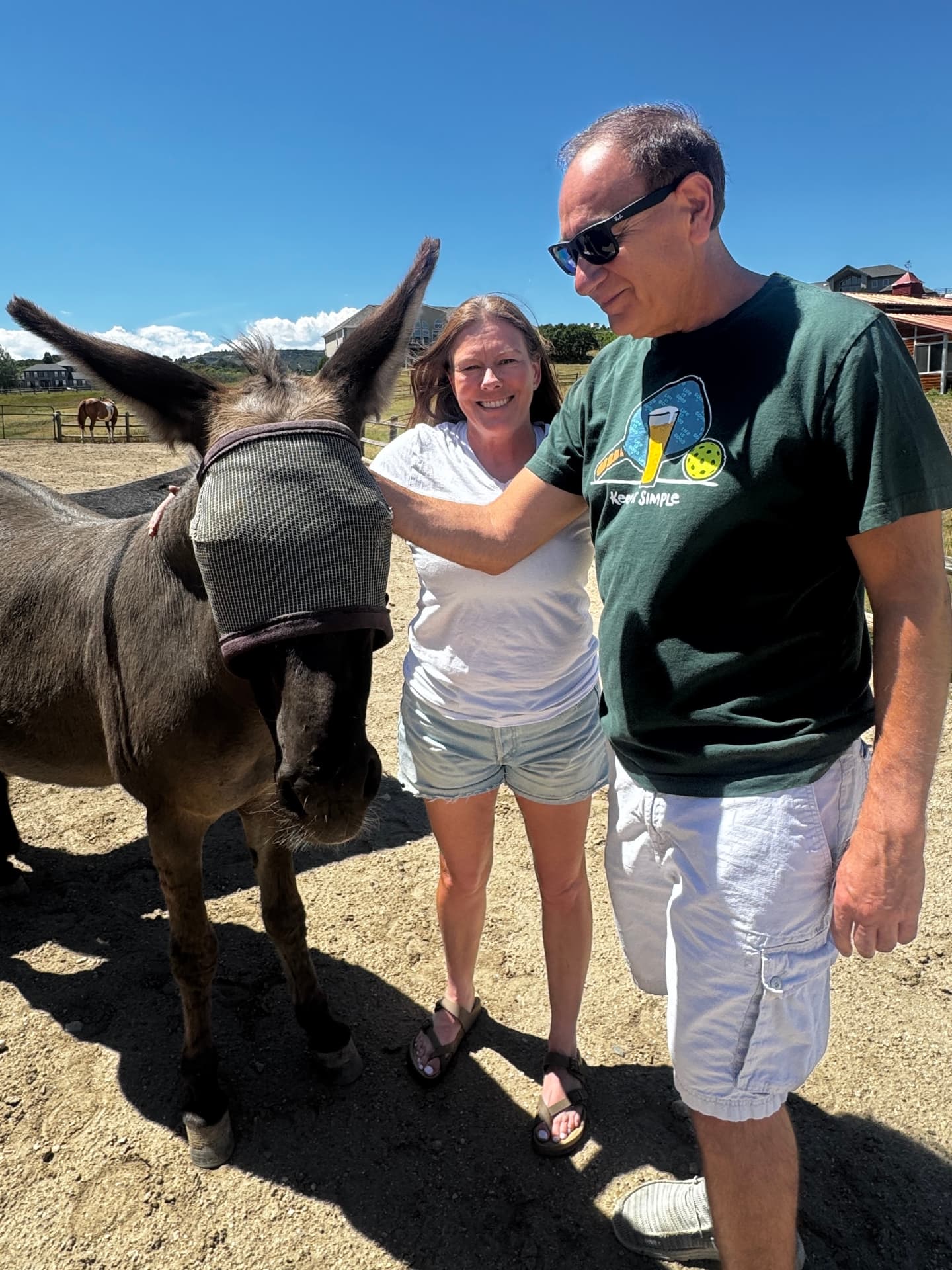 A couple petting a burro wearing a fly mask under a blue Colorado sky