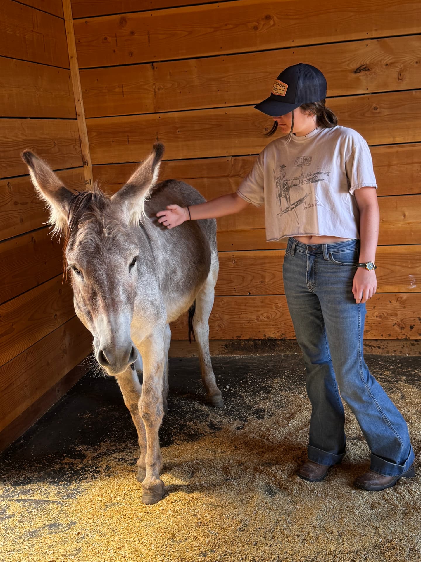 A young woman scratching a burro's withers inside the barn