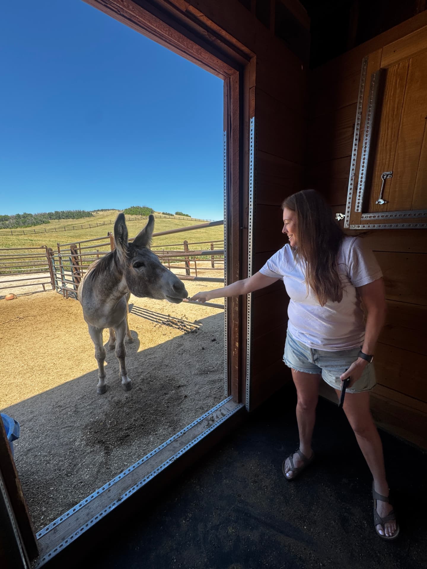 Stacy offering her hand to a burro standing in the barn doorway