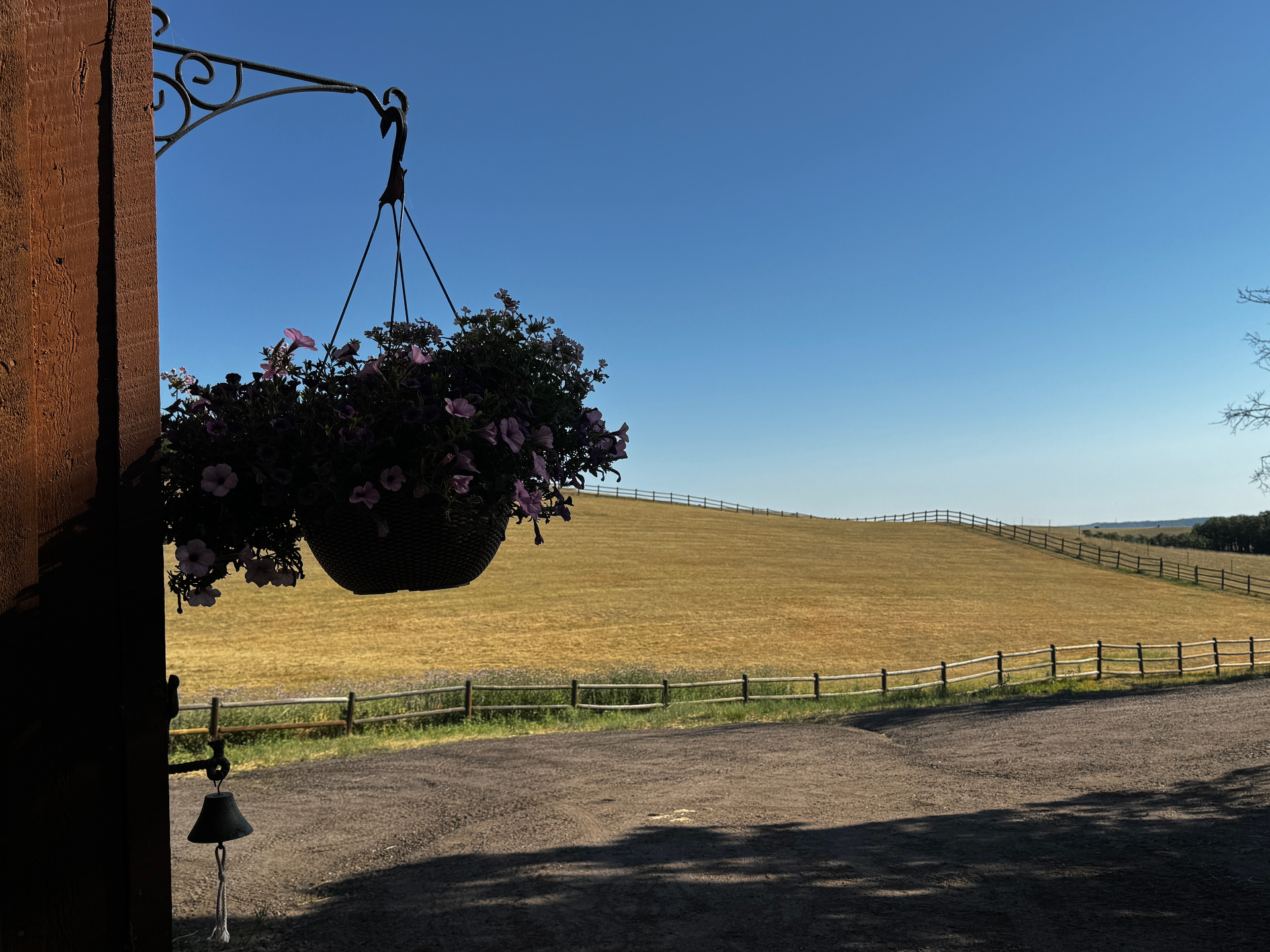 Hanging flower basket with rolling pasture and fences under a bright blue sky