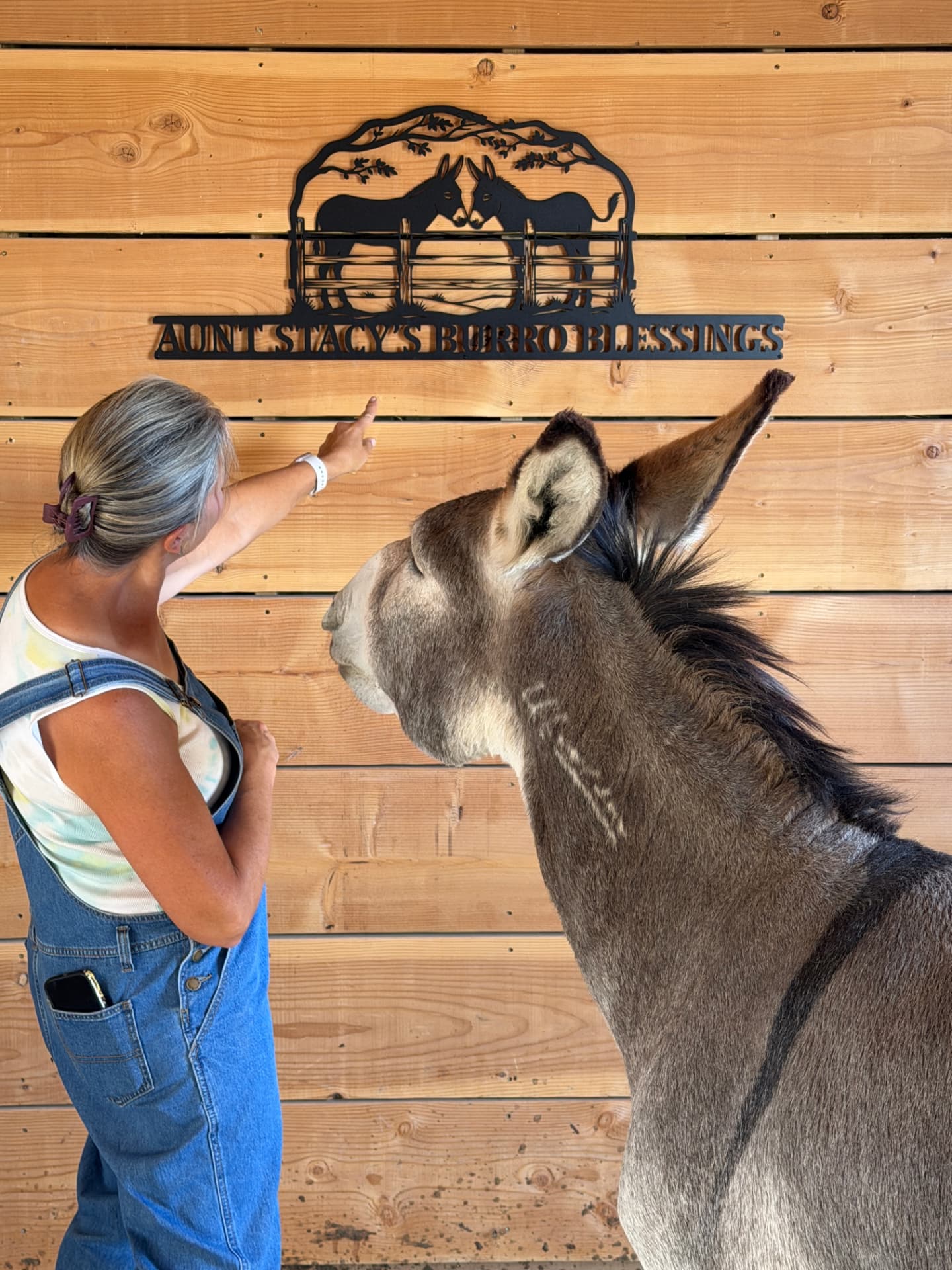 Jackpot and Aunt Stacy admiring the new Aunt Stacy's Burro Blessings sign