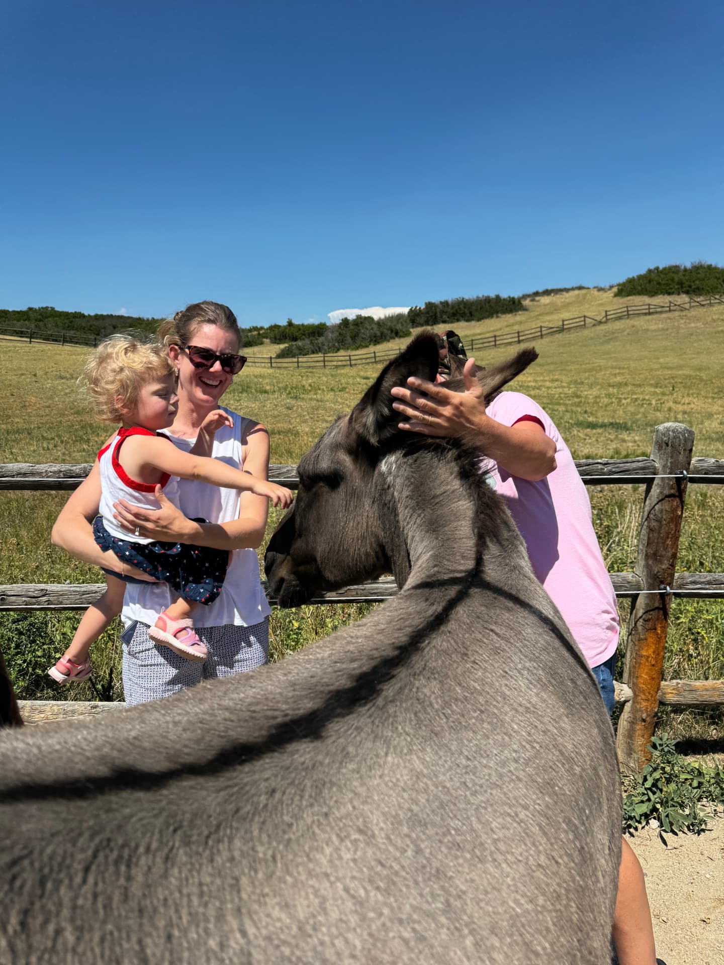 A mother holding her toddler as they reach out to a curious burro