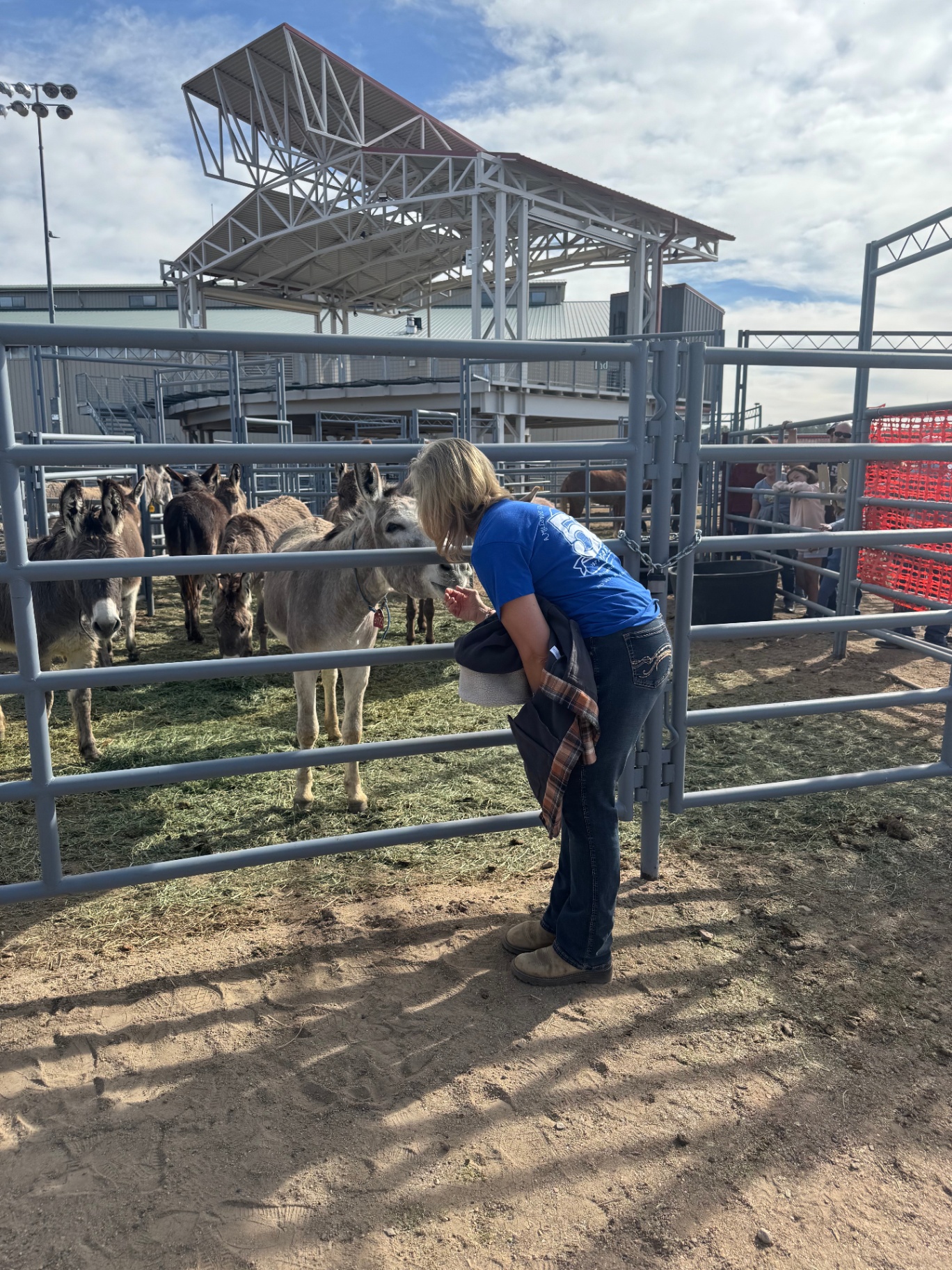 Stacy meeting untouched BLM burros at an adoption event