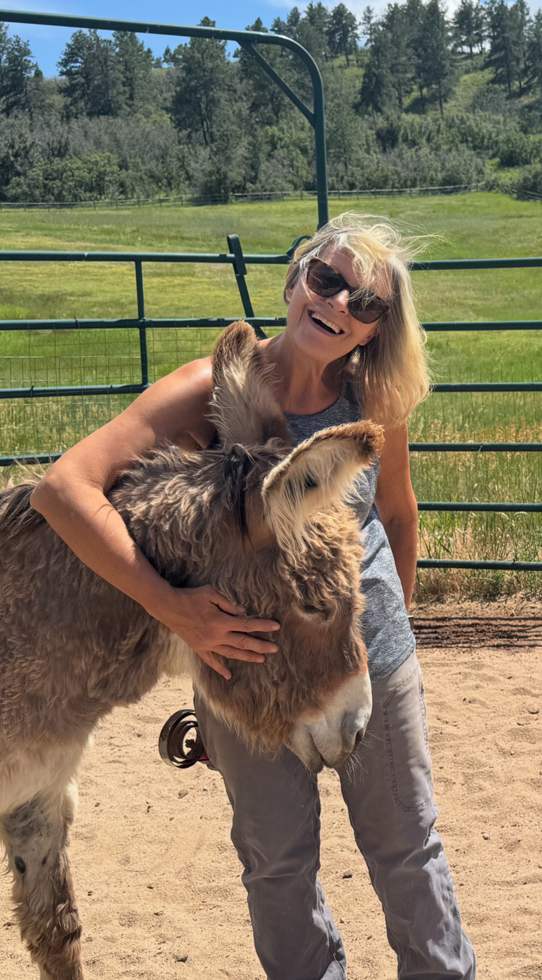 Shaggy Burro with Stacy in a corral
